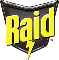 Raid