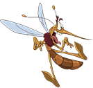 Raid mosquito